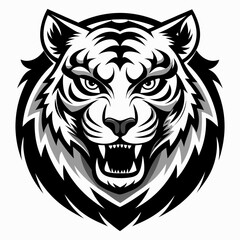 tiger vector and illustration