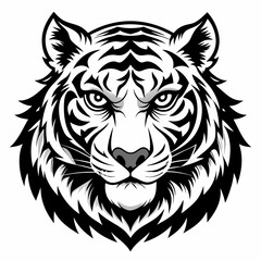 tiger vector and illustration