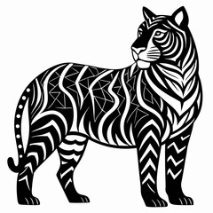 tiger vector and illustration
