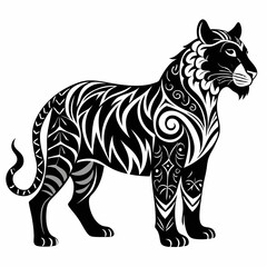 tiger vector and illustration