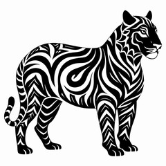 tiger vector and illustration