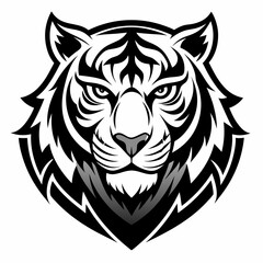 tiger vector and illustration