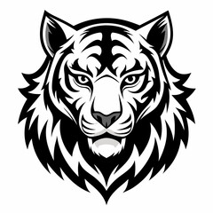 tiger vector and illustration