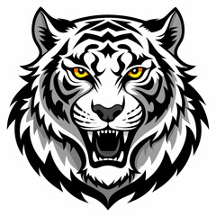 tiger vector and illustration