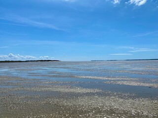 Eine Wattwanderung von Föhr nach Amrum durch das Watt der Nordsee