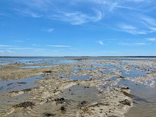 Eine Wattwanderung von föhr nach Amrum durch das Watt der Nordsee