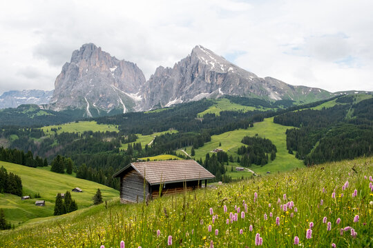 Seiser Alm - Wanderparadies in den S&uuml;dtiroler Dolomiten. Saftig gr&uuml;ne Wiesen mit urigen H&uuml;tten umringt vor schroffen Berggipfeln auf der gr&ouml;&szlig;ten Hochalm Europas.