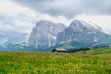 Fototapeta premium Seiser Alm - Wanderparadies in den Südtiroler Dolomiten. Saftig grüne Wiesen mit urigen Hütten umringt vor schroffen Berggipfeln auf der größten Hochalm Europas.