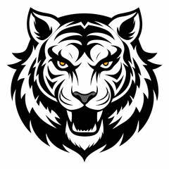 tiger vector and illustration