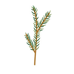 Christmas Tree Branch Vector 