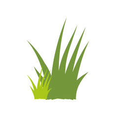 Garden Herb Green Grass Vector 