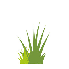 Garden Herb Green Grass Vector 