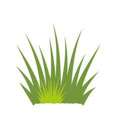 Garden Herb Green Grass Vector 