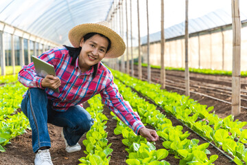 Obraz premium Modern smart female Asian farmer with tablet working in salad lettuce plants in greenhouse