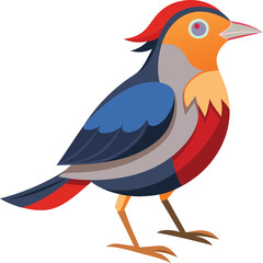 Adobe Illustrator Artwork