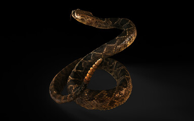 3d Illustration of Western Golden Diamondback Rattlesnake Posed to Strike on Dark Background with Clipping Path.