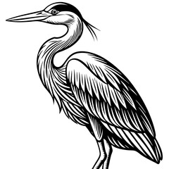 grey heron vector design 