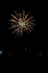  Beautiful fireworks in the night sky #66