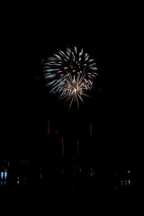  Beautiful fireworks in the night sky #63