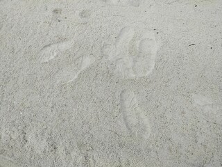 footprint in sand