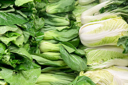 fresh green leafy vegetables, including bok choy and napa cabbage, neatly arranged in a produce section
