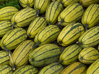 Kürbis Dekoration im Münsterland