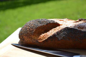 Fresh bread with poppy seeds baked on crust