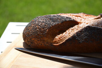 Fresh bread with poppy seeds baked on crust