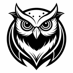 owl vector and illustration
