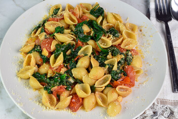 pasta shell  with spinach and tomatoes,