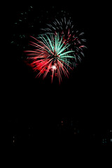  Beautiful fireworks in the night sky #71