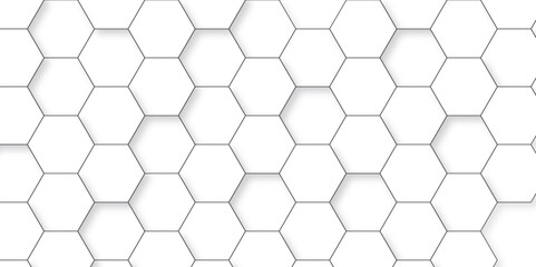 Abstract background with hexagon, modern abstract vector polygonal pattern. Futuristic abstract honeycomb technology white background. Luxury white hexagon pattern.