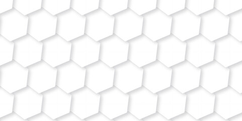 Naklejka premium Abstract background with hexagon, modern abstract vector polygonal pattern. Futuristic abstract honeycomb technology white background. Luxury white hexagon pattern.
