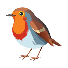 Robin bird Coloful Vector for various uses