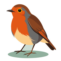 Robin bird Coloful Vector for various uses