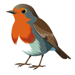 Robin bird Coloful Vector for various uses