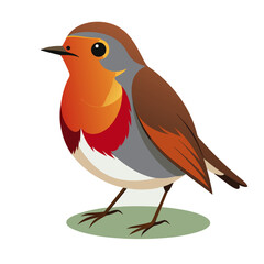 Robin bird Coloful Vector for various uses
