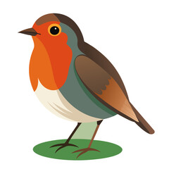 Robin bird Coloful Vector for various uses