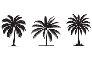 Obraz premium Silhouette Vector of Triple palm tree Isolated on White Background
