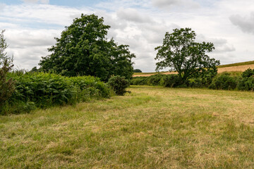 Obraz premium River Bank walk in Adare, County Limerick, Ireland