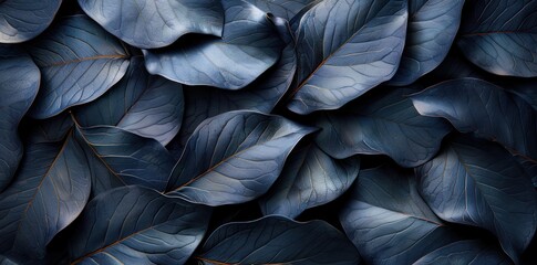 Fototapeta premium Dark Blue Leaf Pattern