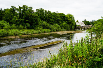 River Bank walk in Adare, County Limerick, Ireland
