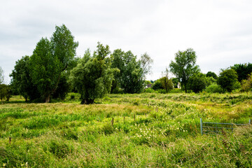 River Bank walk in Adare, County Limerick, Ireland