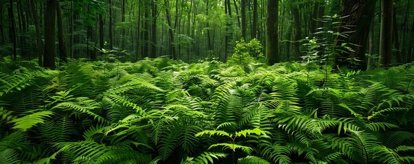 Verdant ferns carpeting the forest floor, 4K hyperrealistic photo