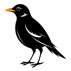 Myna Black silhouette