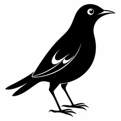 Myna Black silhouette