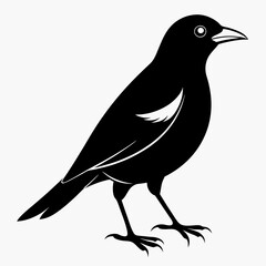 Myna Black silhouette