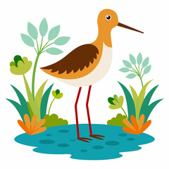 Fototapeta premium Sandpiper on water and plants white background