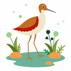 Sandpiper on water and plants white background