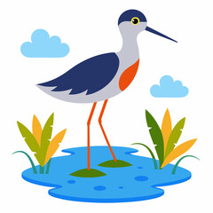 Sandpiper on water and plants white background